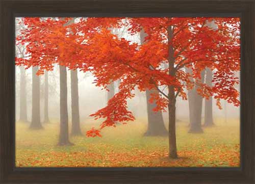 Autumn Mist II